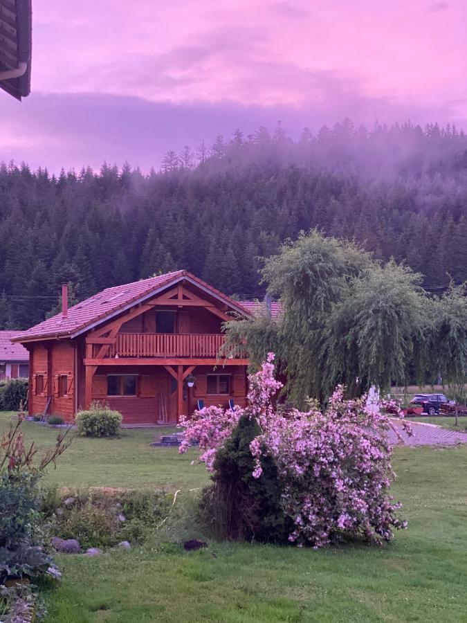 Le Chalet De La Deviniere, Bain Nordique Exterieur Chauffe クソンリュプト・ロンジュメール エクステリア 写真